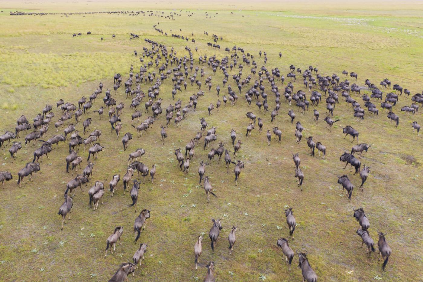 Liuwa Plains National Park