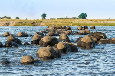 Chobe National Park