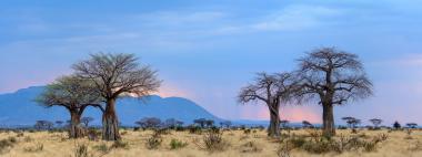 Ruaha National Park