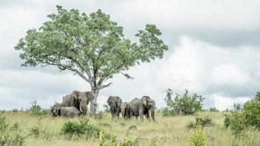 Arusha National Park