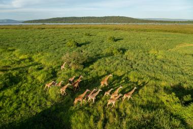 Akagera National Park 