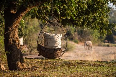 Mana Pools National Park