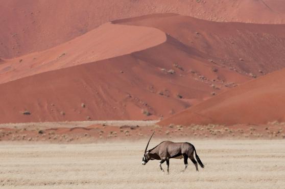 Namibia Tours 