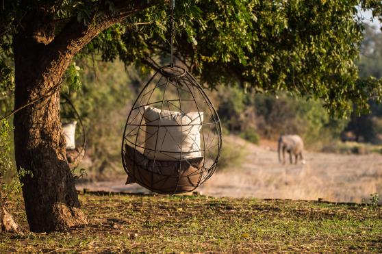 Zimbabwe Safari Tours