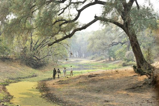 Luxury Zambia Safaris