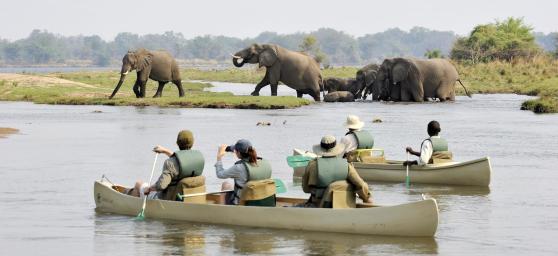 Luxury Zambia Safaris