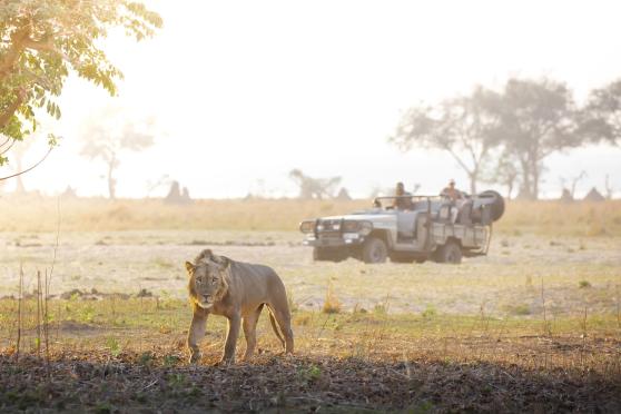 Luxury Zambia Safaris