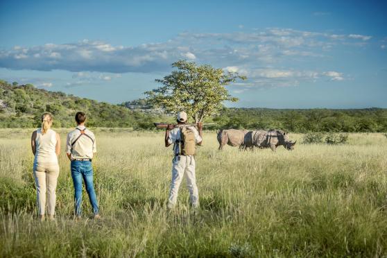 Namibia Tours 