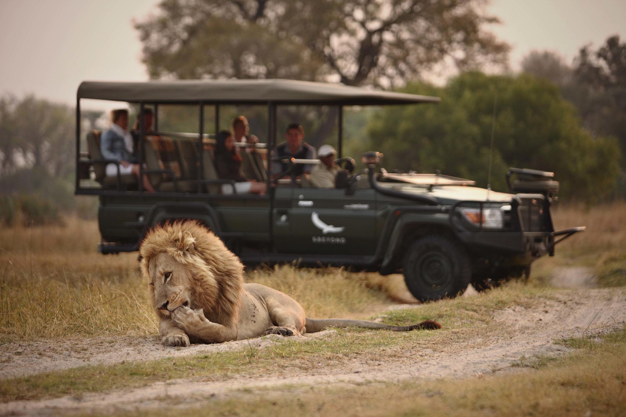 Africa Game Drive