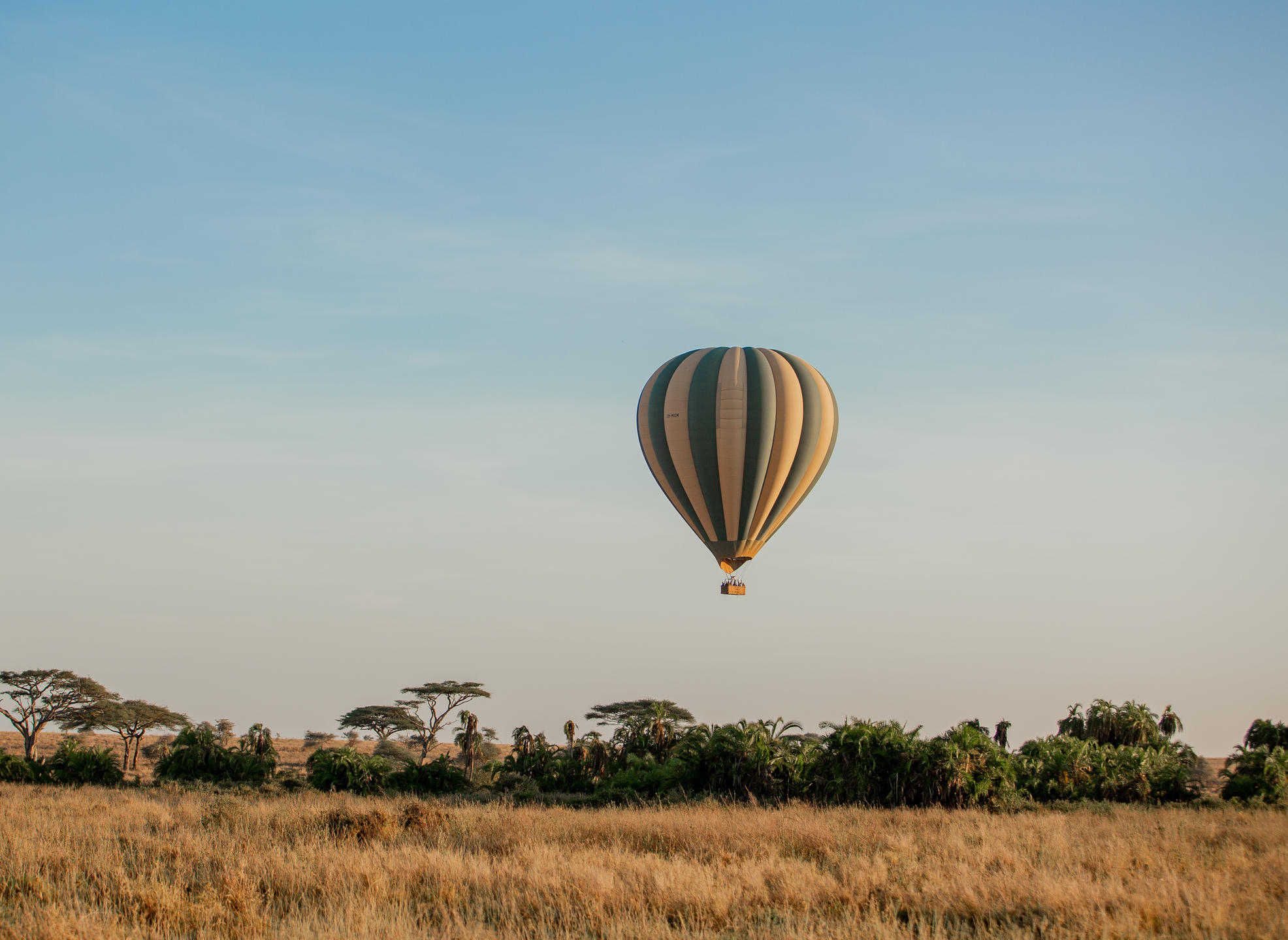 Serengeti Balloon Safari