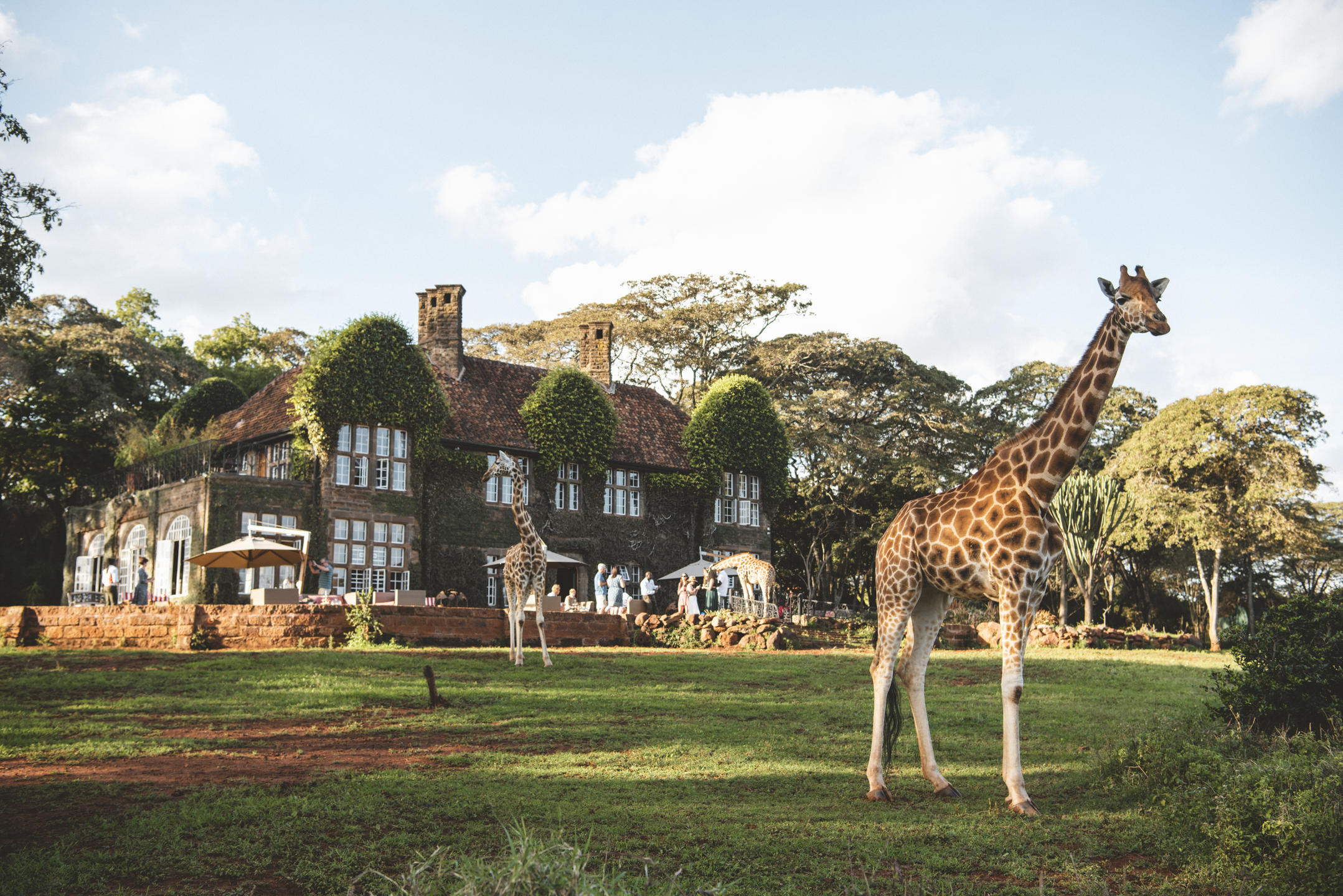 Giraffe Manor, Nairobi, Kenya