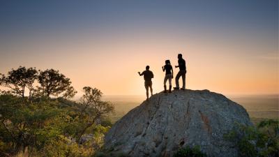 Planning the ultimate African safari adventure