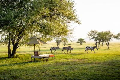 A glimpse of what a Luxury Safari is like in Serengeti