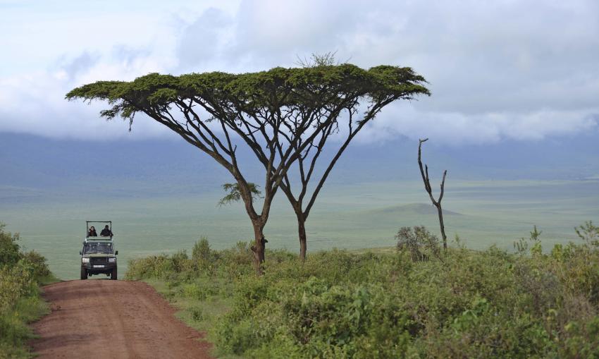 Conserving Tanzania: A luxury venture into the Serengeti