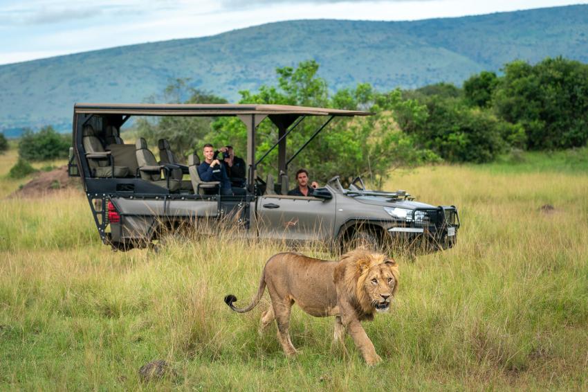 From Kigali to Akagera National Park: Embark on an Epic African Adventure