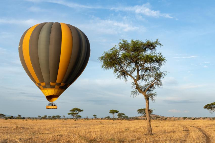 Best Safari in Africa