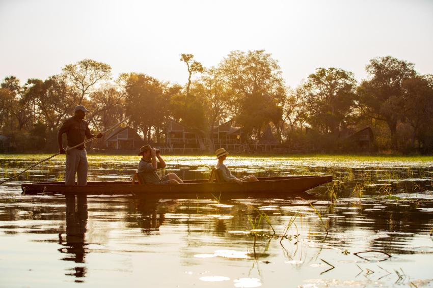 Best African Safari Tours: Our Top 10 Picks