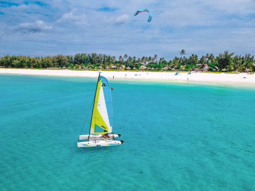 Unforgettable Safari and Beach Holidays: Experience the Best of Both Worlds