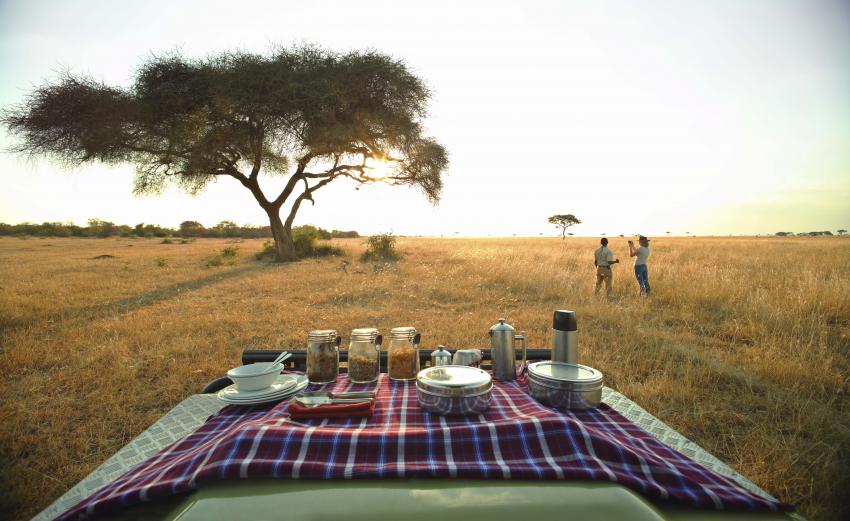 Masai Mara versus Serengeti: Where should a first-timer go?