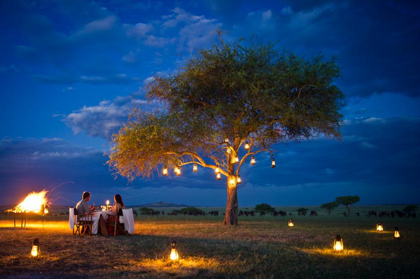 A glimpse of what a Luxury Safari is like in Serengeti