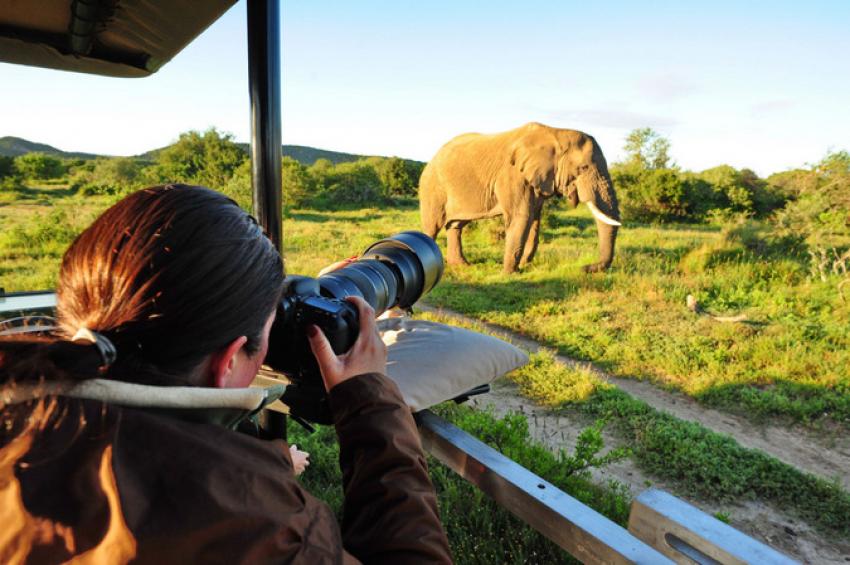 Your Complete Guide For A Photographic Safari
