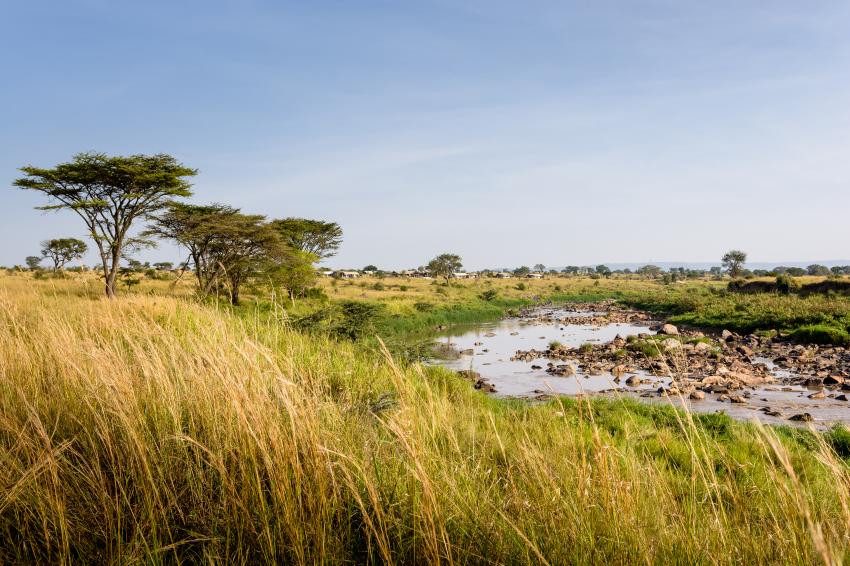 The advantages of a rainy season safari