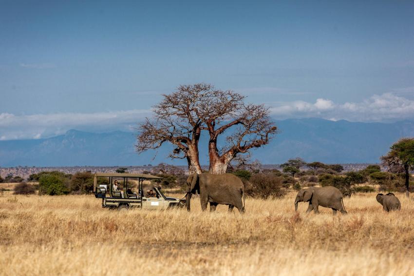 How to plan an off-the-beaten-track safari in Tarangire National Park