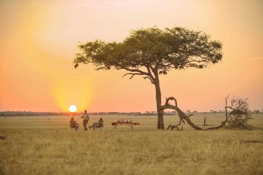 9 Fascinating Serengeti Facts to Spur on Your African Adventure
