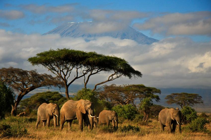 7 Reasons You Should Book a Tanzania Vacation