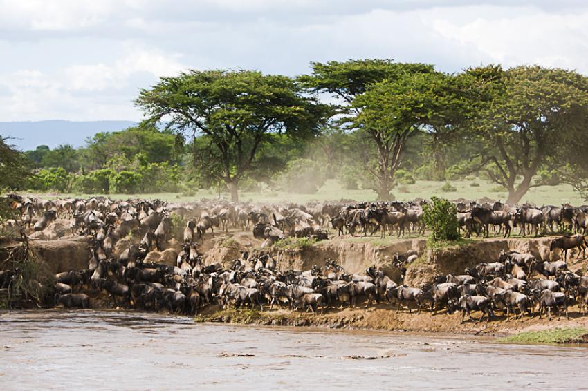 Northern Tanzania