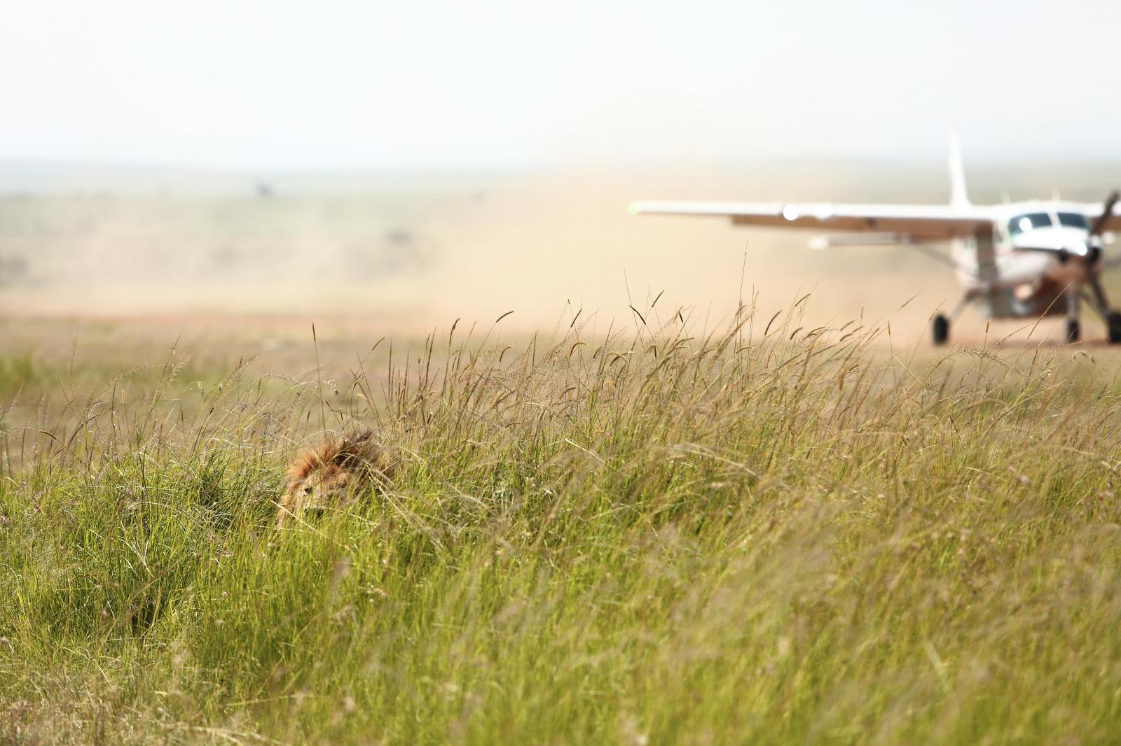 Flying You Closer to the Extraordinary