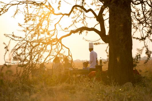 Serengeti Big Game Encounters Family Safari