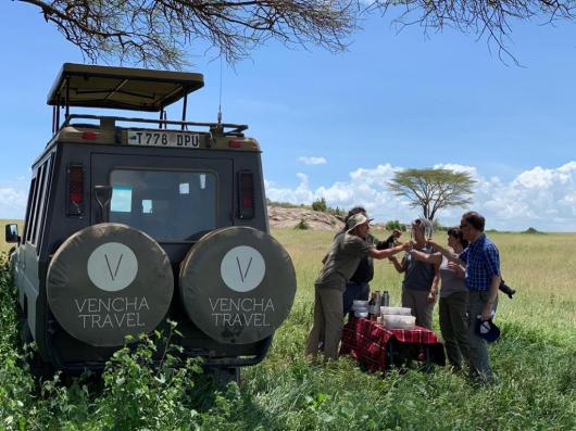 Lions of the Serengeti Safari