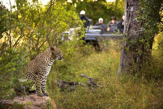 Honeymoon Cape, Kruger & Seychelles