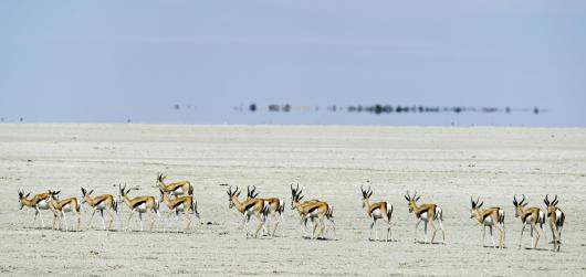 African Odyssey: Botswana, Zimbabwe & Namibia Adventure