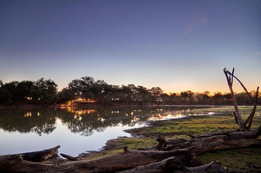 Safari Serenity: South Luangwa\'s Wildlife Odyssey