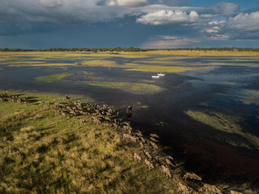 Zambia: An 11-Day Wild Odyssey